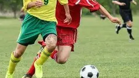 《揭秘绿茵幕后：利物浦名辅范布隆克霍斯特成印尼国家队帅位热门人选》